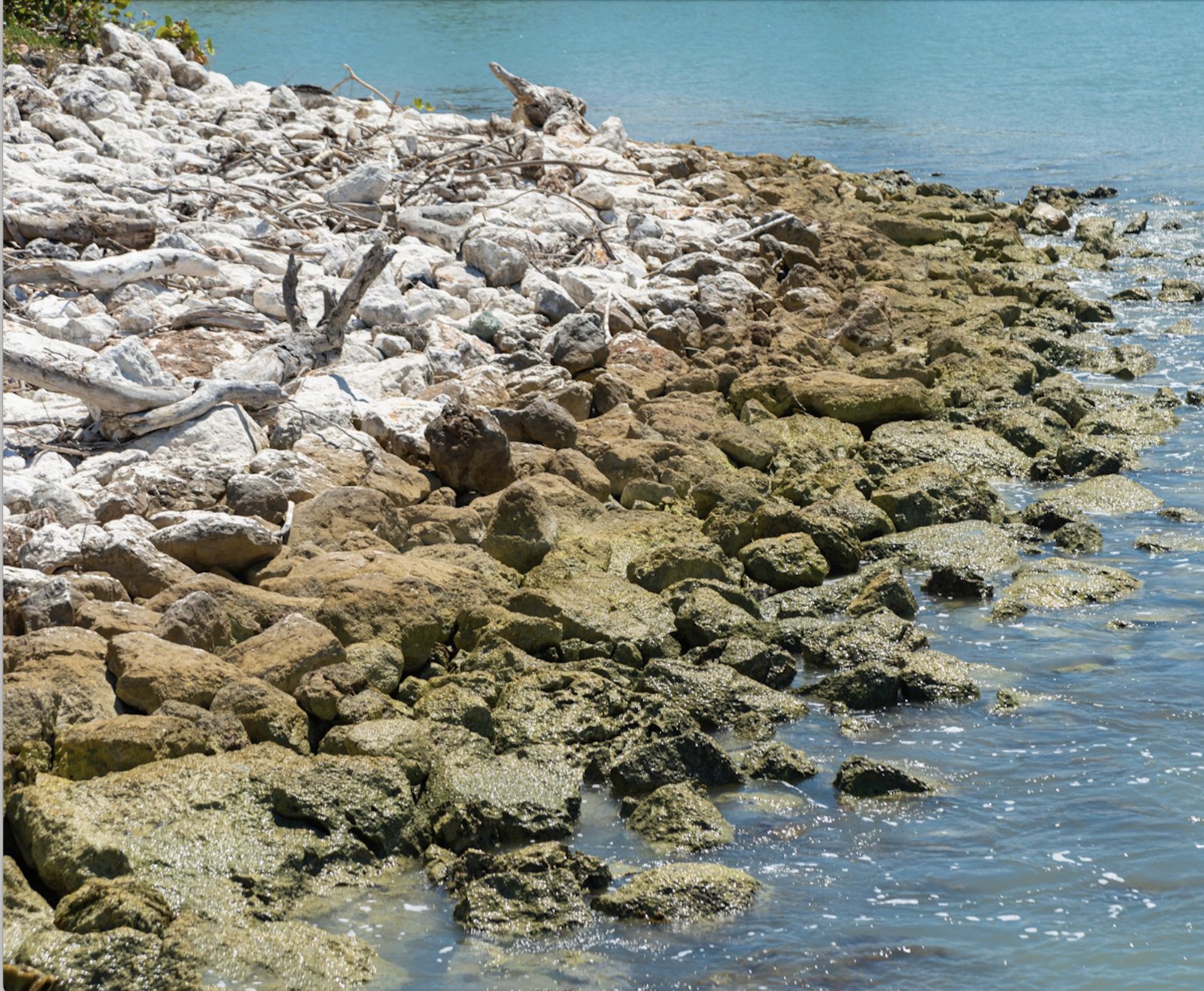 HARTIS Coastal Resilience